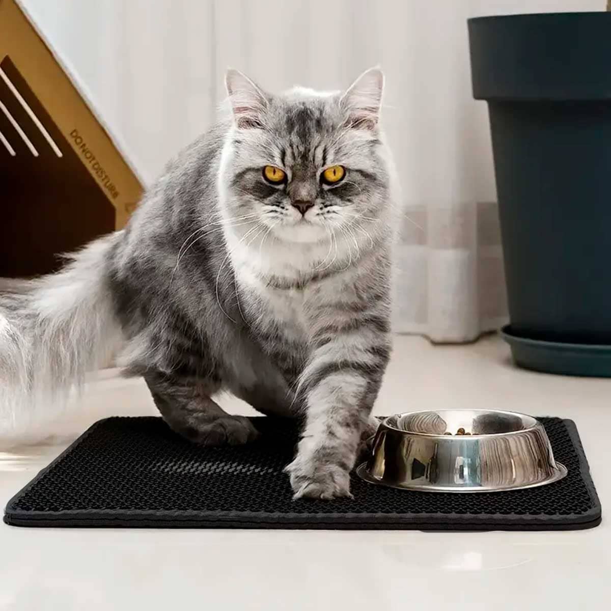 Miniatura 5 de Tapete Para Arenero Recolector JL03